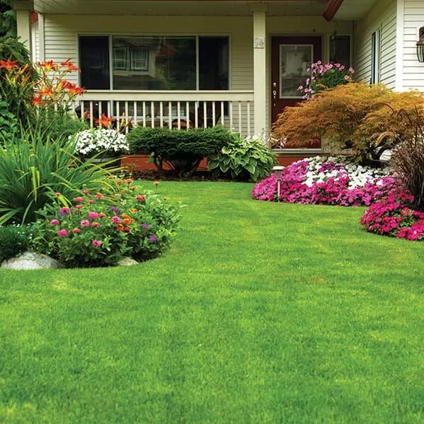 Affordable garden landscaping experts serving Lexington, SC - Affinity Landscaping