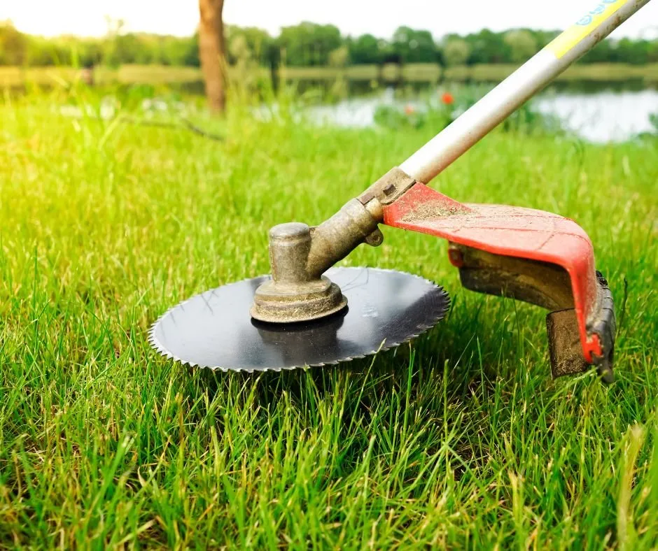 Affordable landscape installation in Lexington, SC - Affinity Landscaping