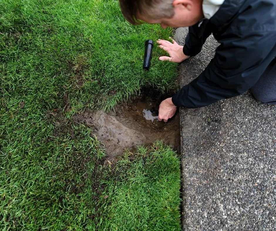 Top-rated yard maintenance in Lexington, SC by Affinity Landscaping