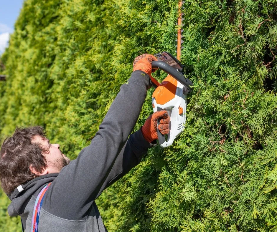 Top-rated lawn care service in Lexington, SC - Affinity Landscaping