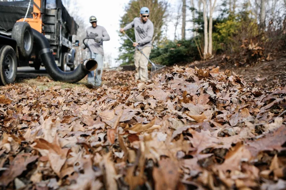 Reliable landscaping services experts serving Rustburg, VA - Affinity Lawn and Landscape
