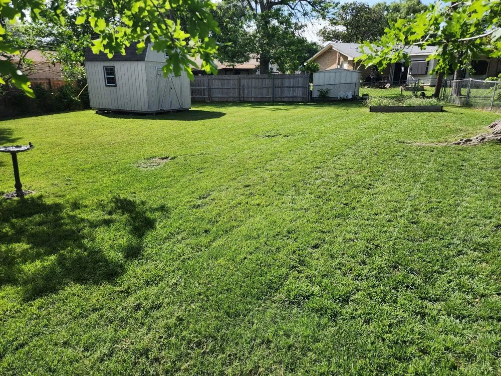 Local outdoor landscaping for year-round maintenance across San Antonio, TX - Affluere Lawncare
