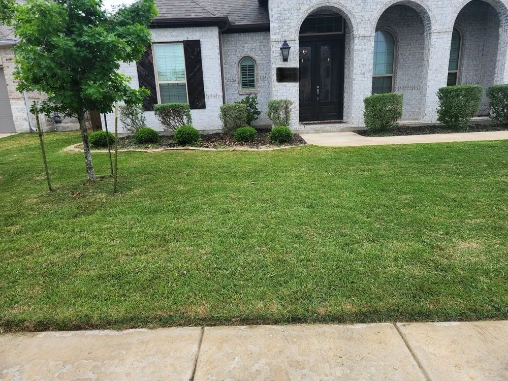Affordable landscape design in San Antonio, TX by Affluere Lawncare