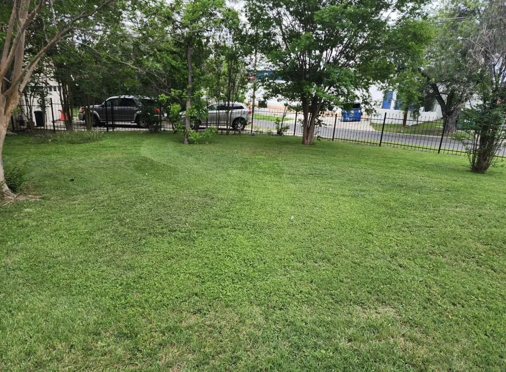 Affordable residential landscaping experts serving San Antonio, TX - Affluere Lawncare