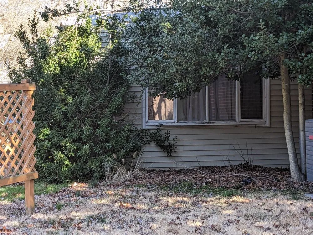 Reliable yard maintenance in Hartly, DE by Afford-A-Tree Service and Landscaping