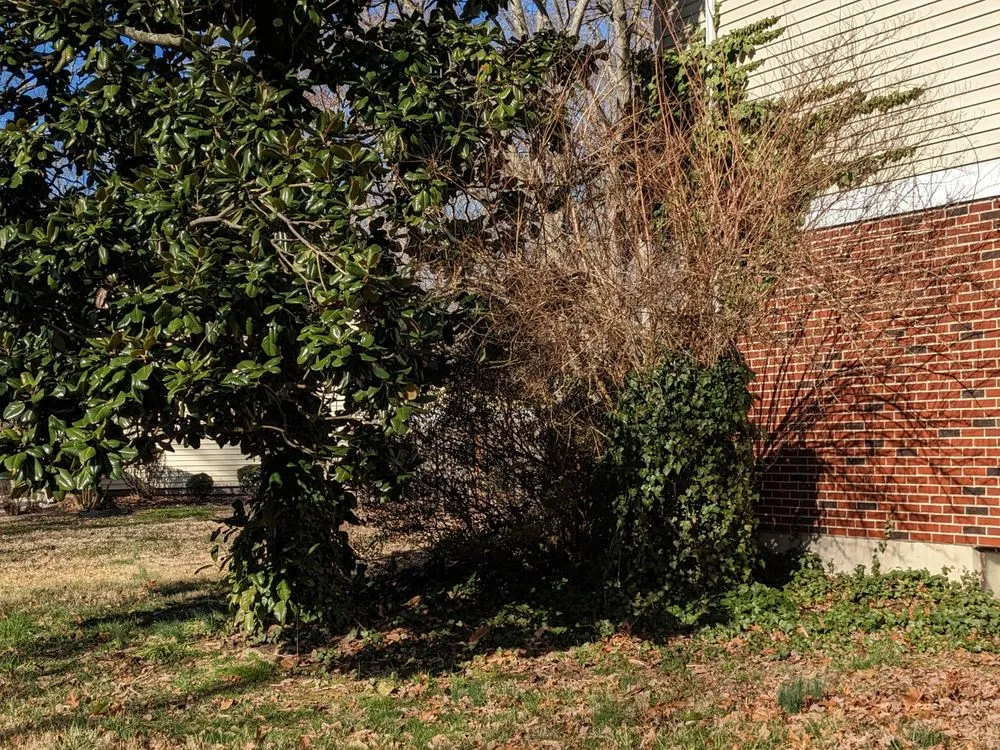 Local lawn mowing service in Hartly, DE - Afford-A-Tree Service and Landscaping