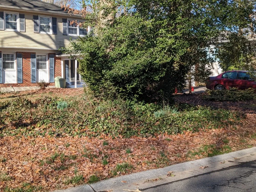 Top-rated lawn care service with custom design across Hartly, DE - Afford-A-Tree Service and Landscaping