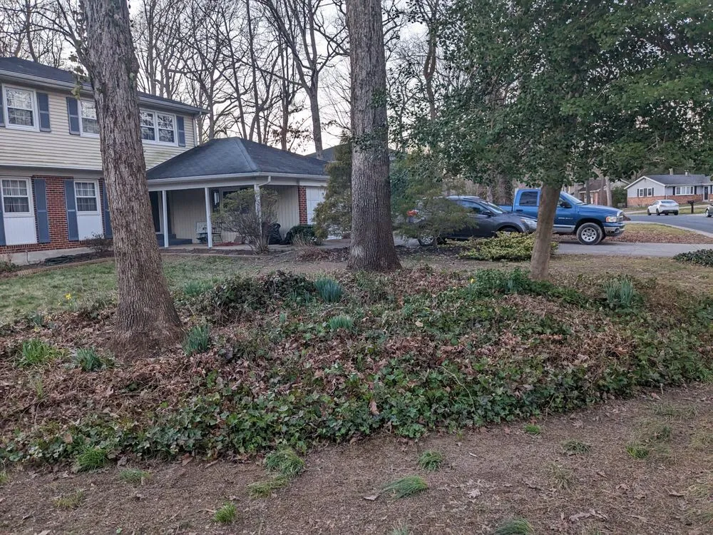Trusted garden landscaping in Hartly, DE - Afford-A-Tree Service and Landscaping