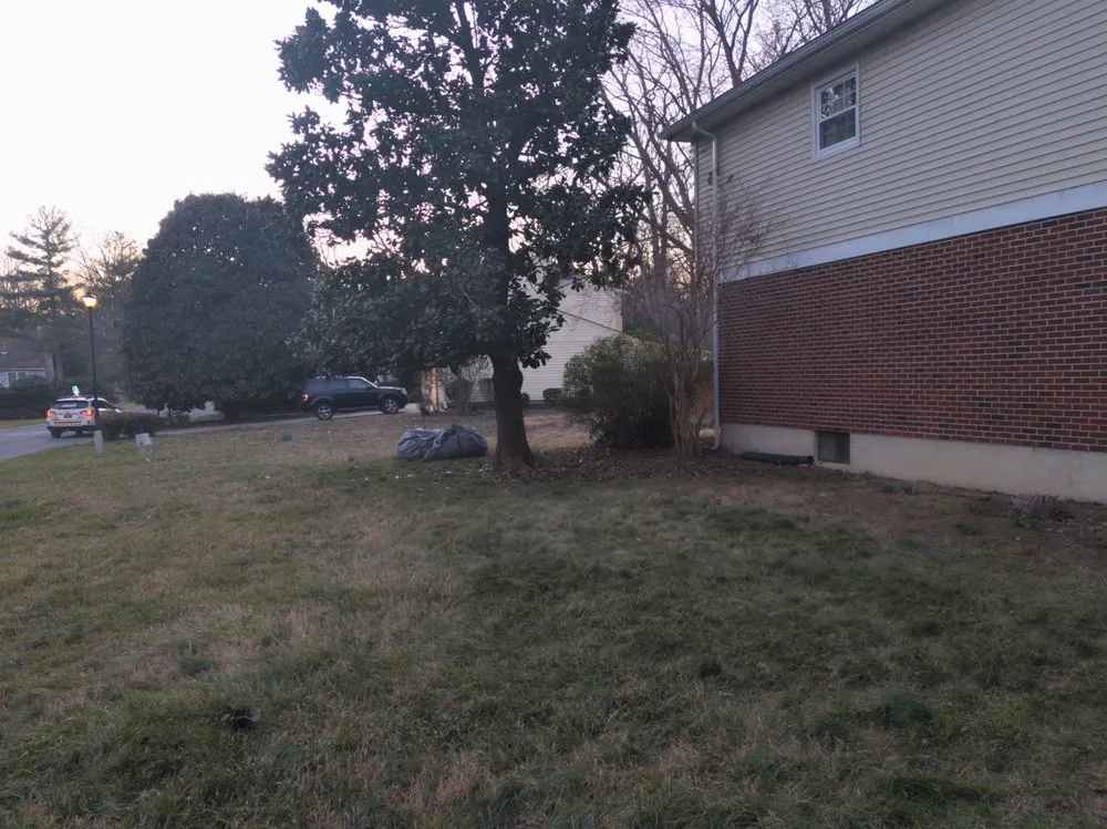 Top-rated yard cleanup service in Hartly, DE by Afford-A-Tree Service and Landscaping