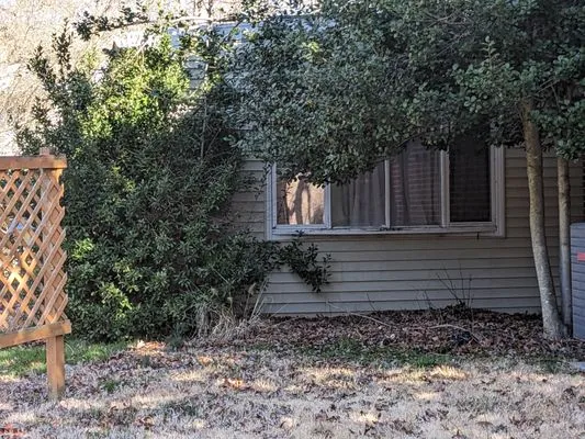 Afford-A-Tree Service and Landscaping