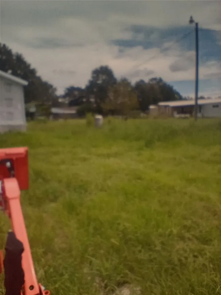 Reliable yard cleanup service for beautiful yards across Picayune, MS - Affordable Bush Hog And Pressure Washing