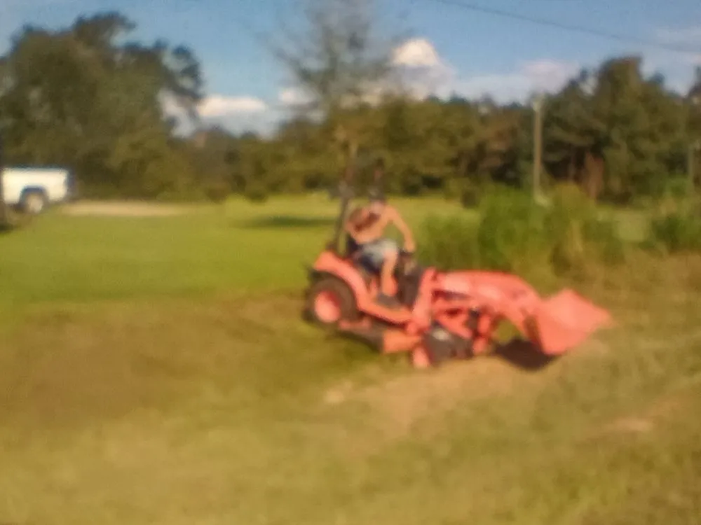 Local landscape design experts serving Picayune, MS - Affordable Bush Hog And Pressure Washing