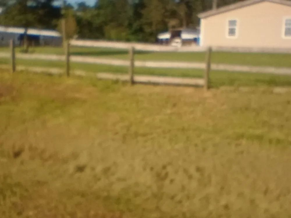 Top-rated landscape design experts serving Picayune, MS - Affordable Bush Hog And Pressure Washing