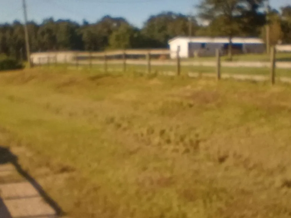 Local lawn mowing service in Picayune, MS - Affordable Bush Hog And Pressure Washing