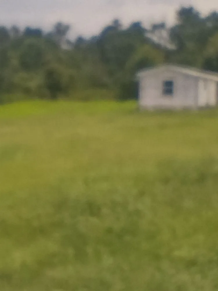 Local landscaping services near you in Picayune, MS by Affordable Bush Hog And Pressure Washing