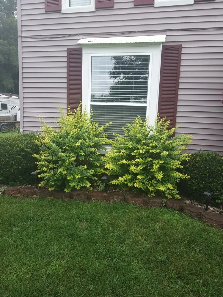 Affordable residential landscaping with custom design in Flint, MI by Affordable Concrete & landscaping solutions