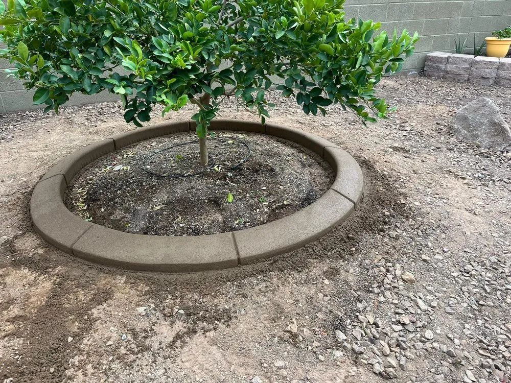 Custom outdoor landscaping in Glendale, AZ - Affordable Curbing