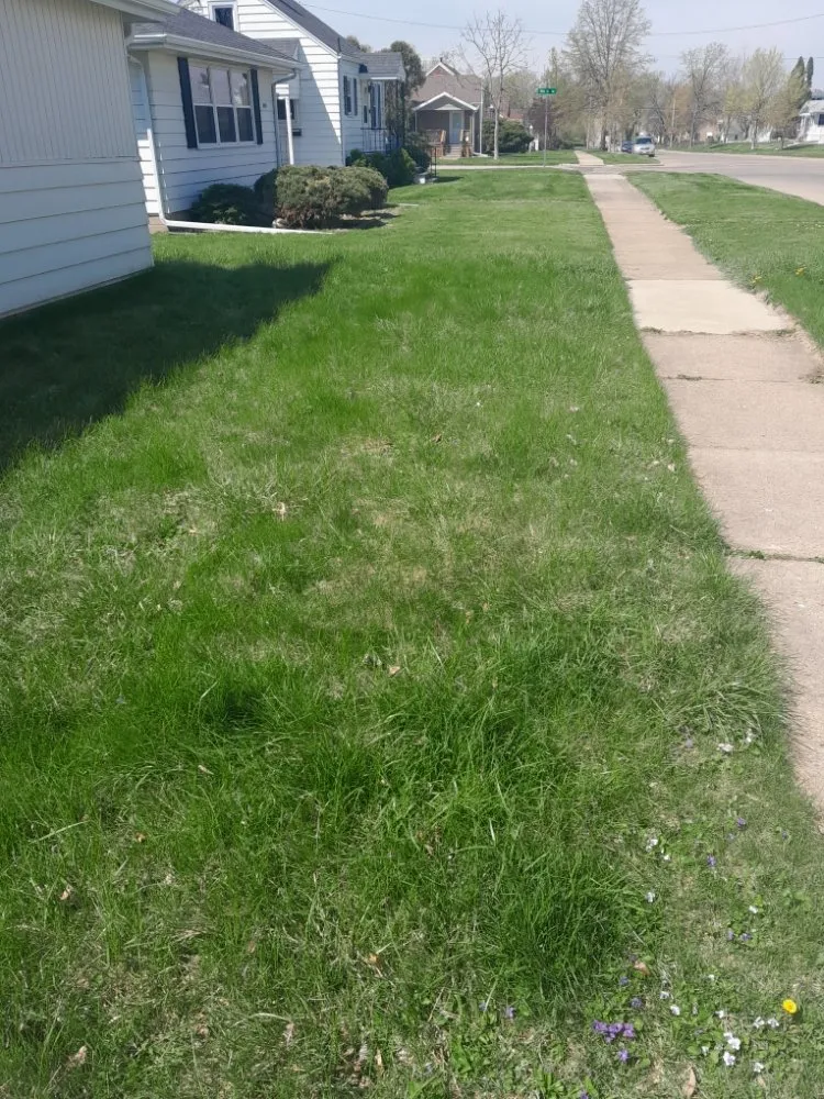 Local lawn mowing service in Cedar Rapids, IA - Affordable cut & go pro