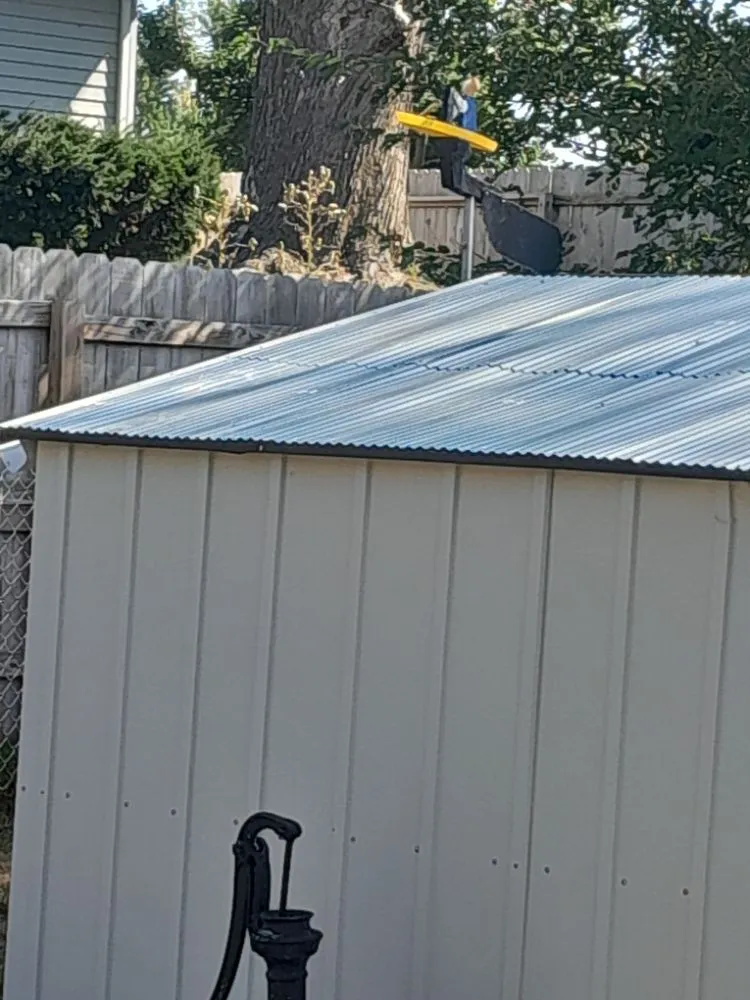 Custom outdoor landscaping experts serving Cedar Rapids, IA - Affordable cut & go pro