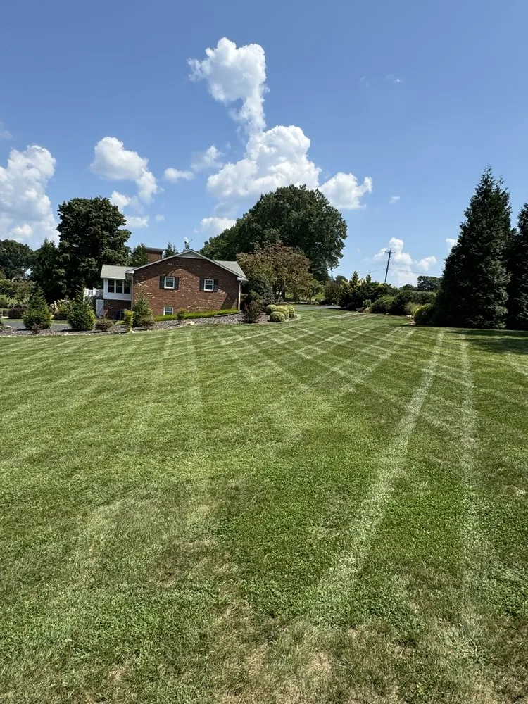 Trusted lawn mowing service for beautiful yards in King, NC by Affordable Cuts