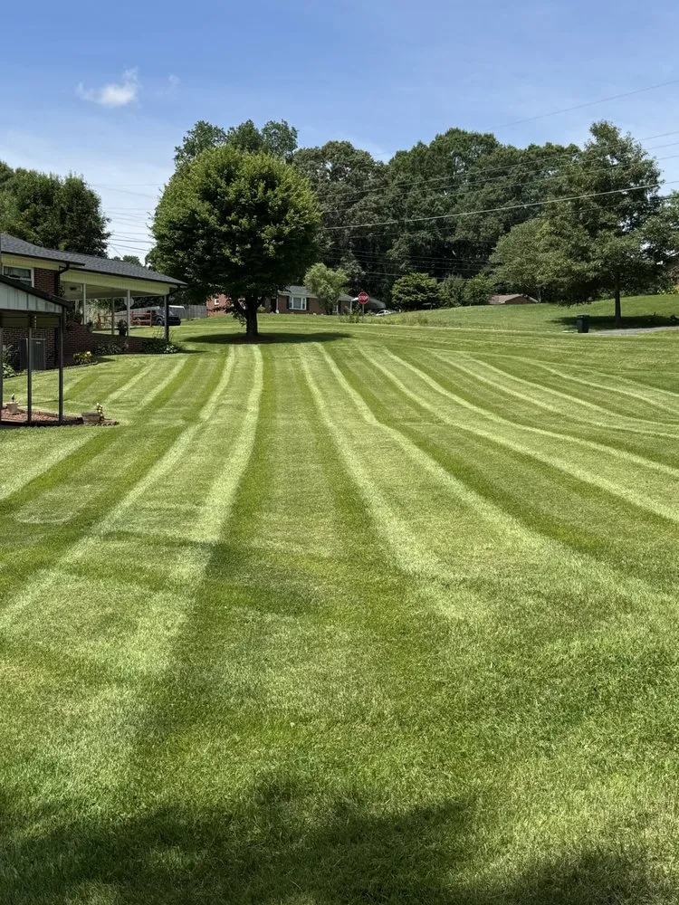 Top-rated landscape installation in King, NC by Affordable Cuts