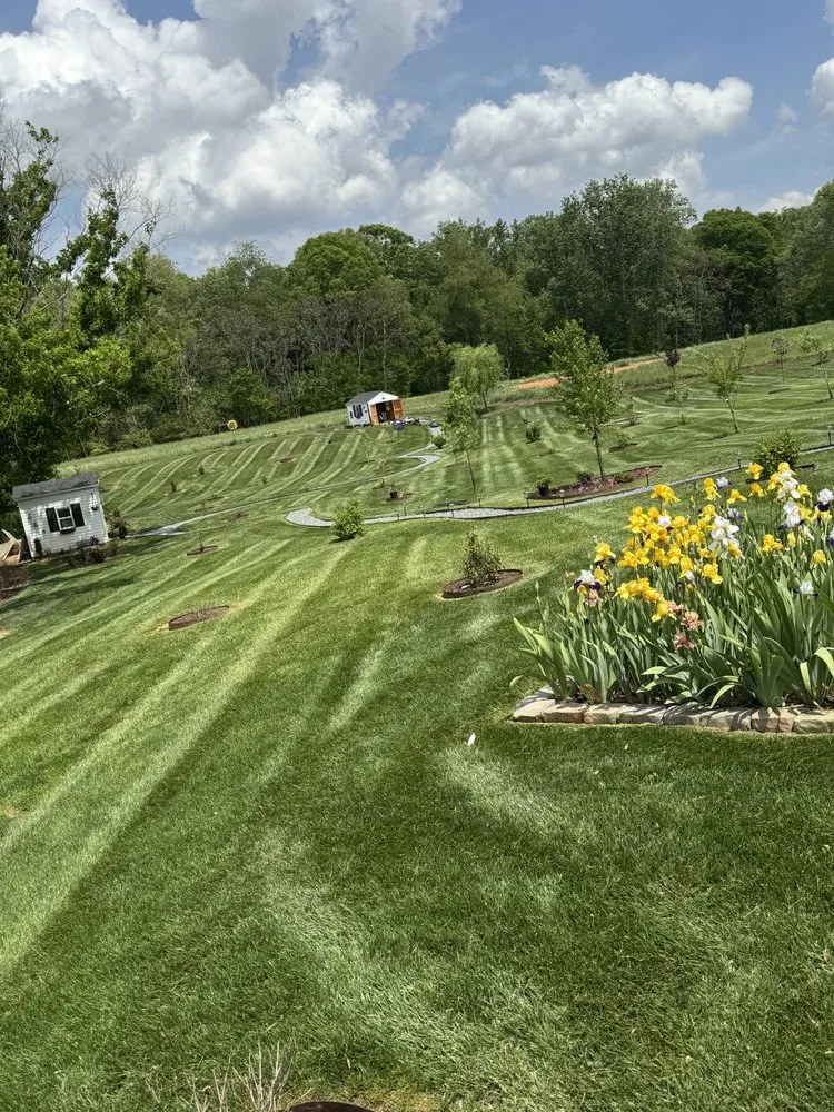 Top-rated outdoor landscaping experts serving King, NC - Affordable Cuts
