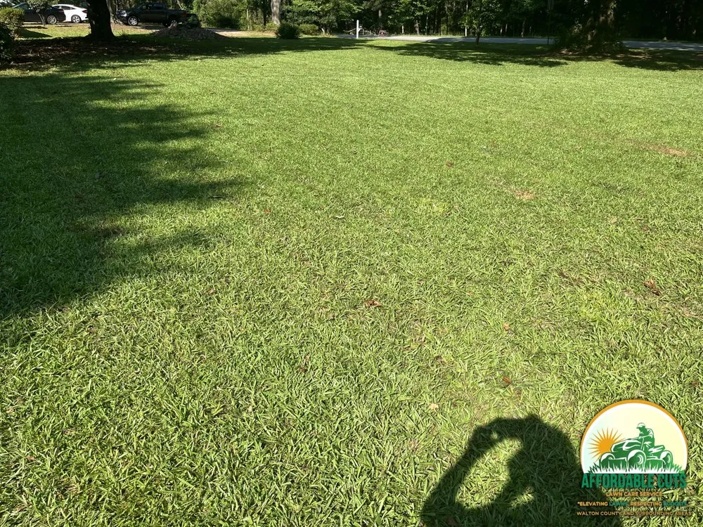 Expert landscape design for beautiful yards across Monroe, GA - Affordable Cuts