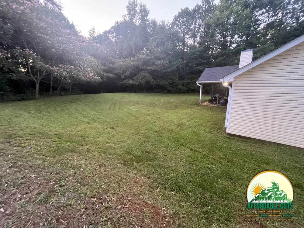 Affordable yard cleanup service for beautiful yards in Monroe, GA by Affordable Cuts