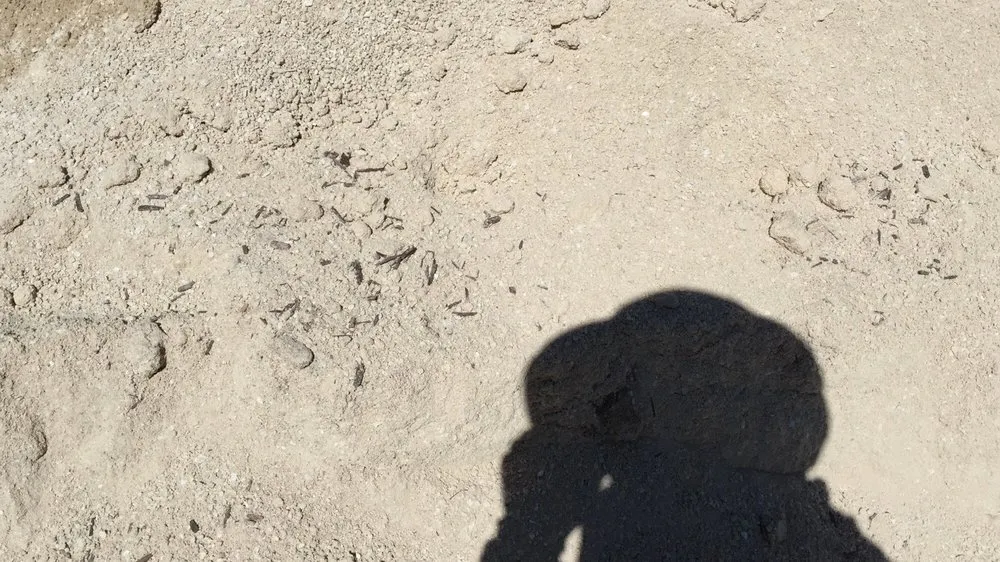 Trusted garden landscaping for beautiful yards in Hesperia, CA by Affordable Decorative Rock