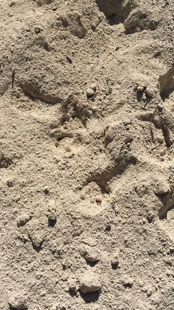 Expert yard maintenance for beautiful yards across Hesperia, CA - Affordable Decorative Rock