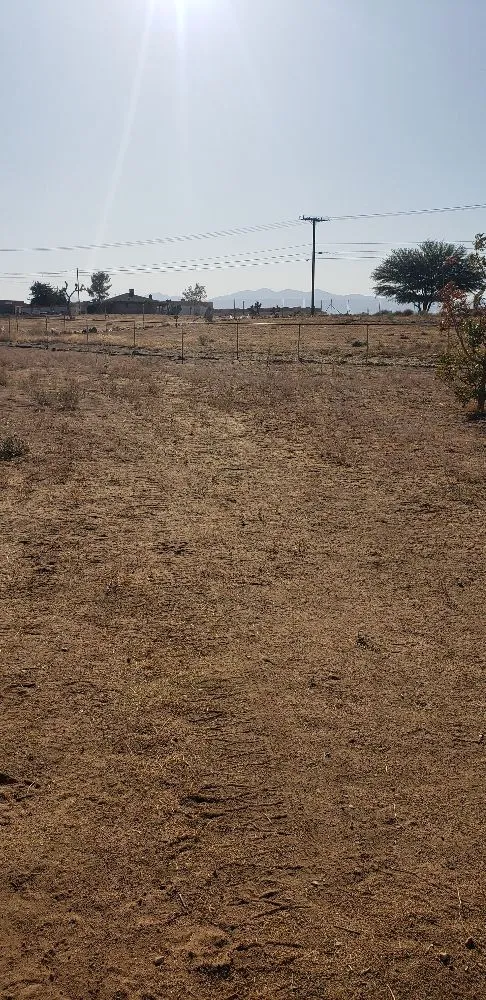 Reliable landscape design in Apple Valley, CA - Affordable Dragster and Maintenance