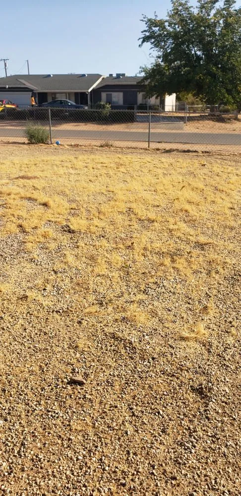 Professional yard cleanup service in Apple Valley, CA by Affordable Dragster and Maintenance