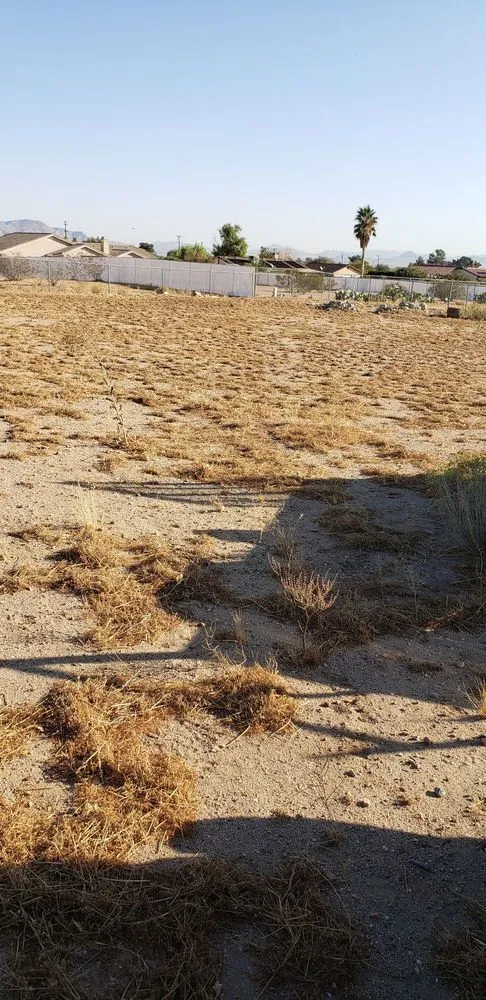 Custom yard cleanup service for residential properties across Apple Valley, CA - Affordable Dragster and Maintenance