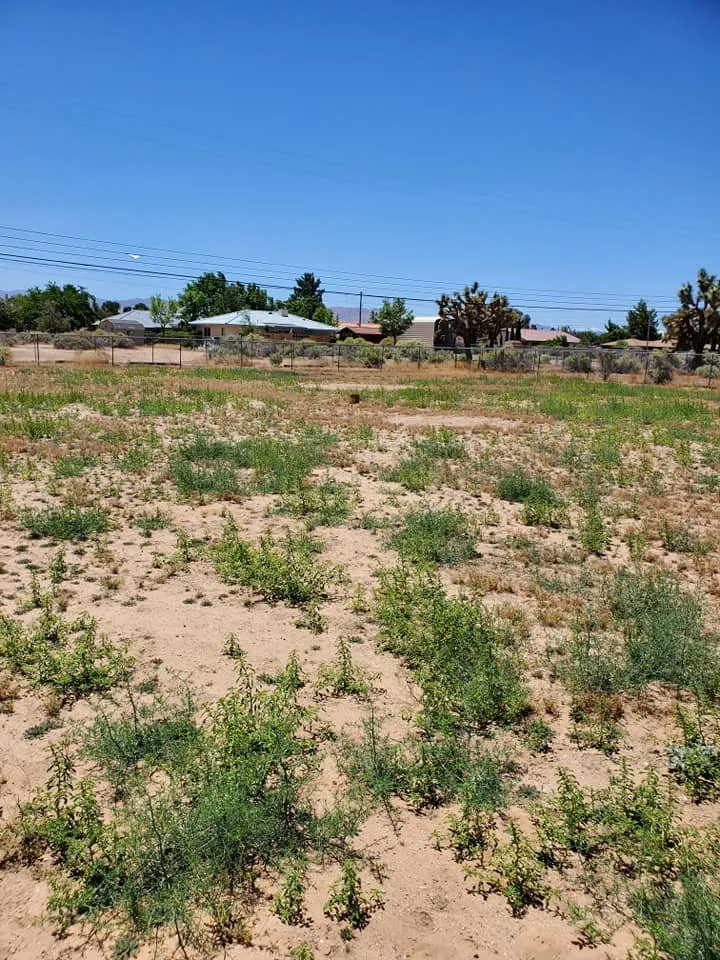 Local outdoor landscaping in Apple Valley, CA by Affordable Dragster and Maintenance