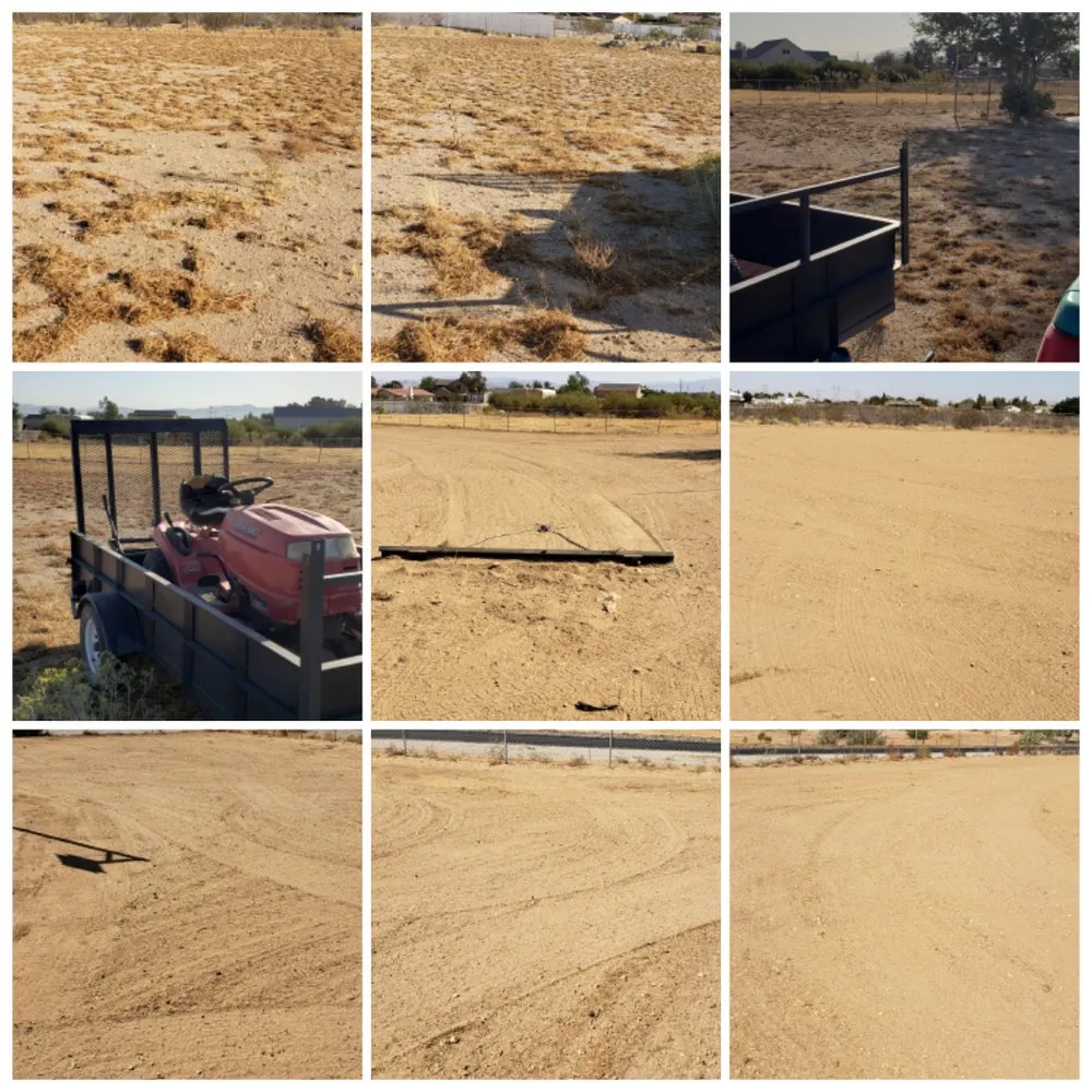 Expert residential landscaping in Apple Valley, CA - Affordable Dragster and Maintenance