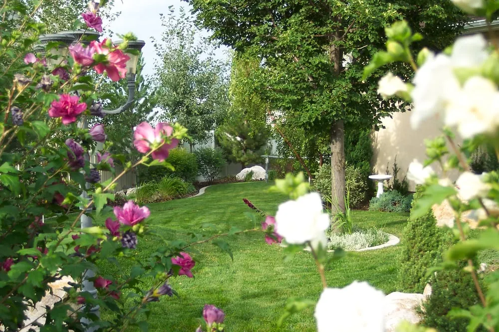 Top-rated landscaping services in Ogden, UT - Affordable Dreams Landscape