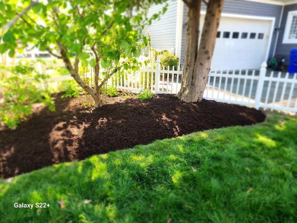 Expert landscape installation in Millsboro, DE - Affordable Excellence