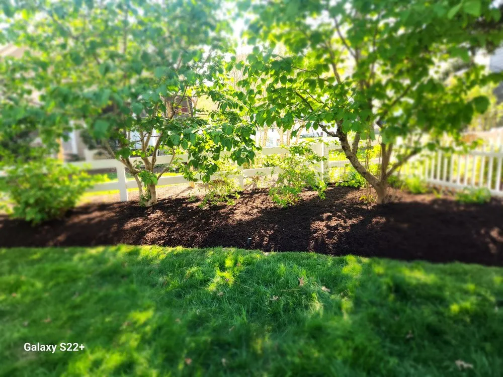 Trusted garden landscaping experts serving Millsboro, DE - Affordable Excellence