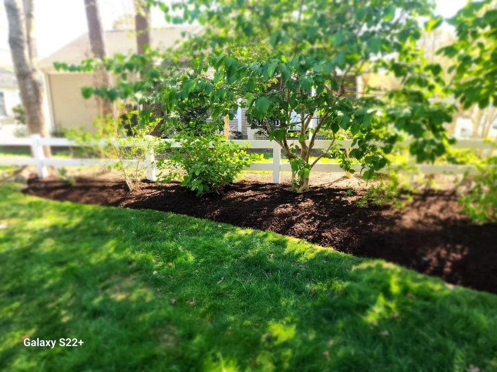 Trusted lawn care service with custom design across Millsboro, DE - Affordable Excellence