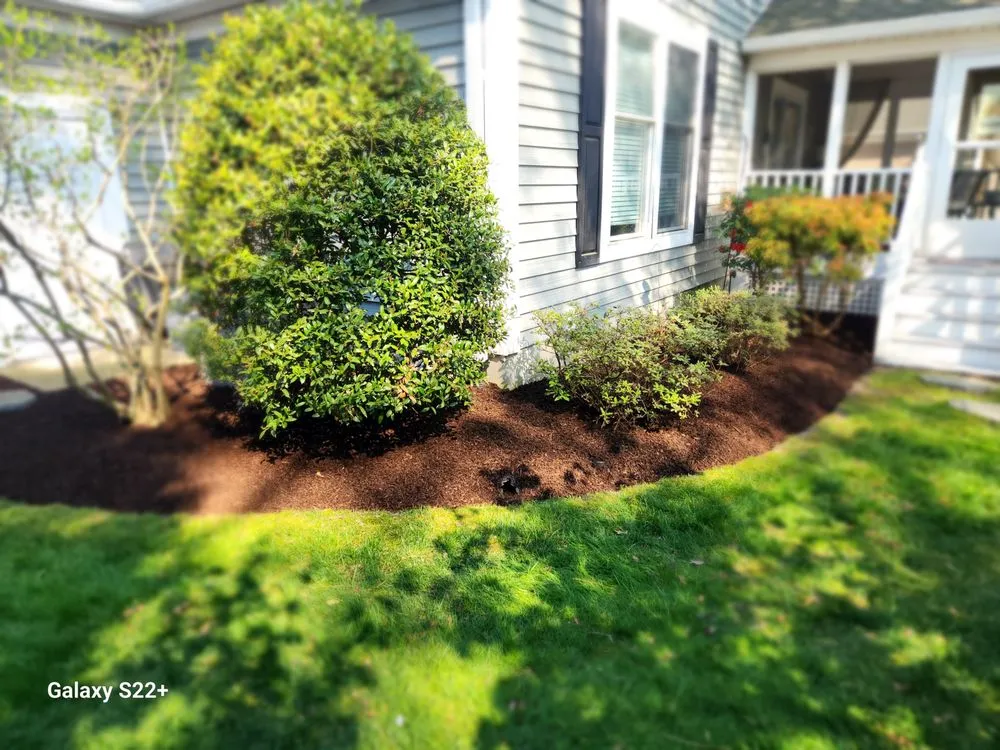 Expert lawn care service in Millsboro, DE by Affordable Excellence