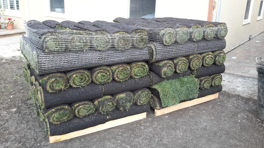 Custom yard maintenance in San Francisco, CA - Affordable Fencing and Gardening