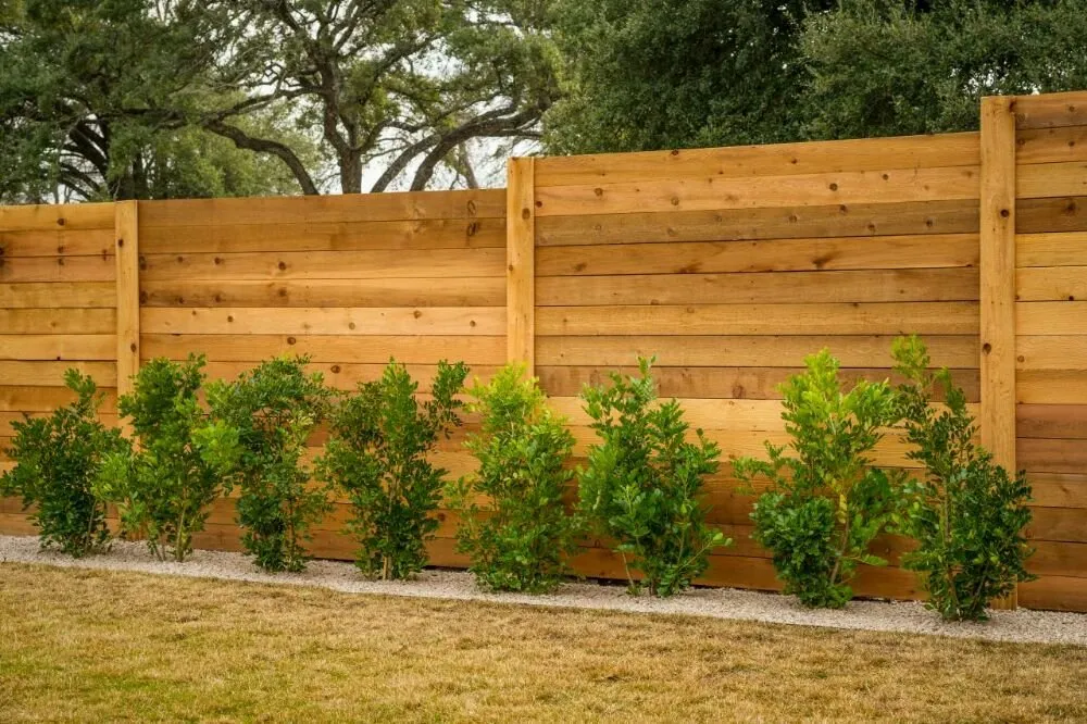 Professional yard cleanup service in San Francisco, CA by Affordable Fencing and Gardening