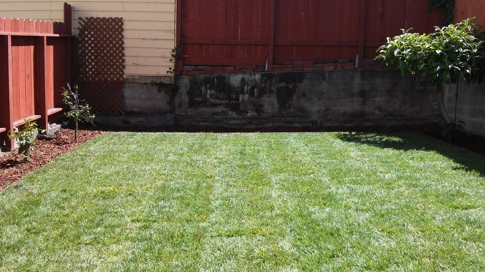Expert lawn mowing service in San Francisco, CA - Affordable Fencing and Gardening