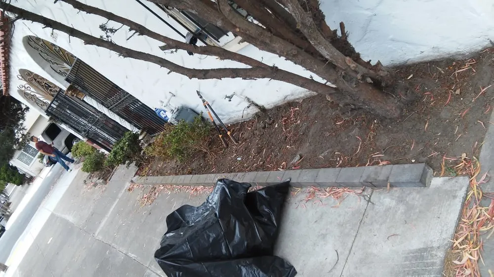 Expert lawn mowing service in San Francisco, CA by Affordable Fencing and Gardening