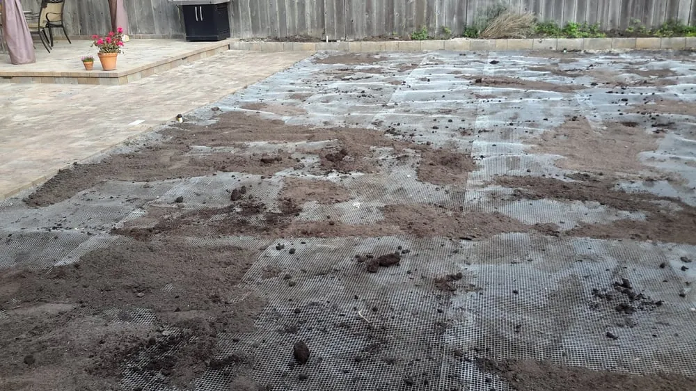 Reliable lawn care service in San Francisco, CA by Affordable Fencing and Gardening