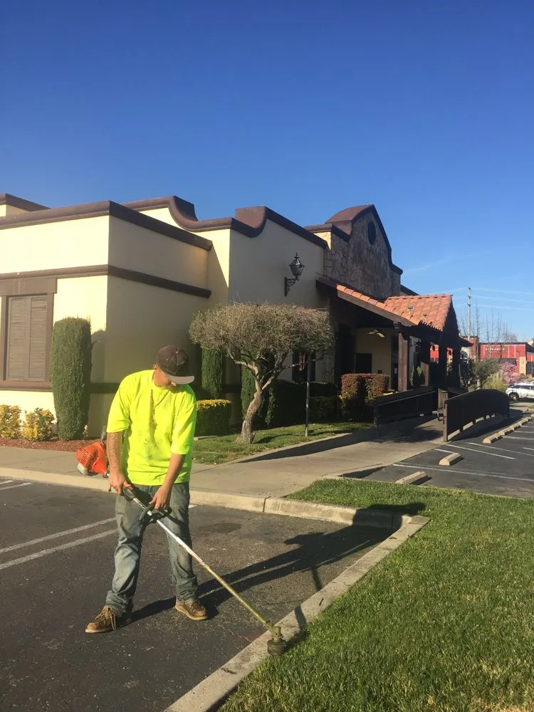 Custom yard cleanup service experts serving Sacramento, CA - Affordable Gardening