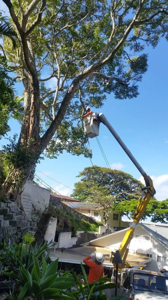 Affordable lawn mowing service in Honolulu, HI by Affordable General Services