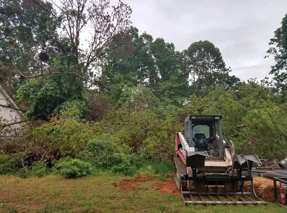 Custom yard cleanup service experts serving Greensboro, NC - Affordable Grading and Hydroseeding