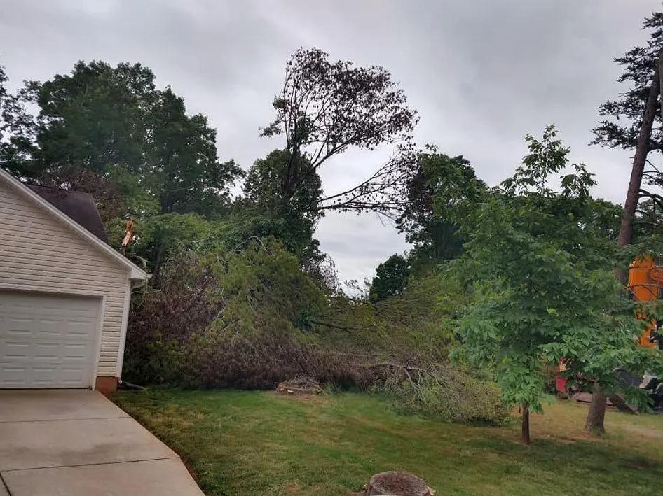 Top-rated lawn mowing service in Greensboro, NC - Affordable Grading and Hydroseeding