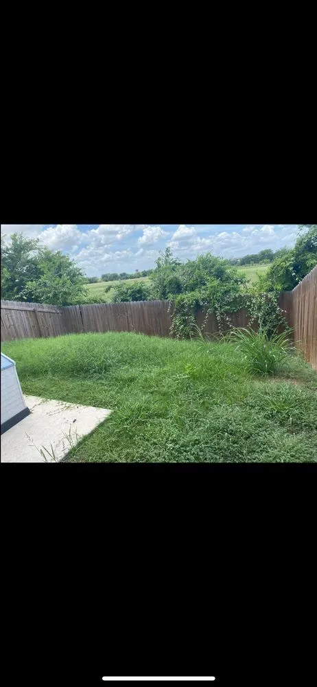 Professional landscape design for homes in New Braunfels, TX by Affordable Green Solutions